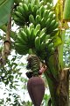 Vietnam - Cambodge - 0821
